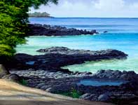 Painting by Curtis Wilson Cost: Ahihi Morning