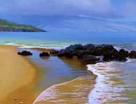 Painting by Curtis Wilson Cost: Beach Glass