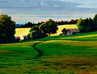 Painting by Curtis Wilson Cost: Cane Fire