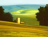 Painting by Curtis Wilson Cost: Green Flash