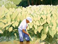 Painting by Curtis Wilson Cost: Kanoa's Taro