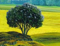 Painting by Curtis Wilson Cost: Old Jac