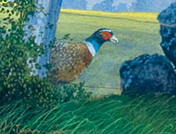 Painting by Curtis Wilson Cost: Sanctuary