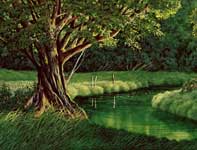 Painting by Curtis Wilson Cost: Sunlit