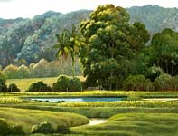 Painting by Curtis Wilson Cost: Taro Ponds